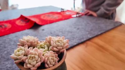 【欢天喜地中国年】写春联 送祝福