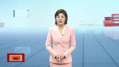【帮女郎关注】 “摸金校尉”       襄阳落网 
