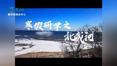 【欢天喜地中国年】我的多彩寒假