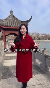 “机器腿”驾到，湖北一景区爬山体验大升级！