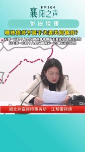 讲法说理｜哪些债务不属于夫妻共同债务？