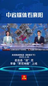 中省媒体看襄阳 | 央视关注襄阳古隆中