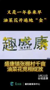 谷城县盛康镇千亩油菜花竞相绽放