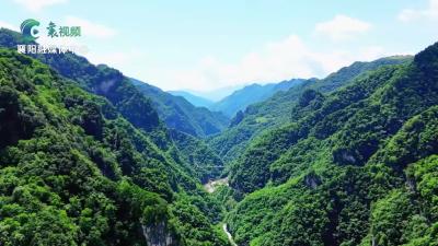 百家媒体学习宣传“两山”理念20周年新闻采风暨春游尧治河系列文旅活动
