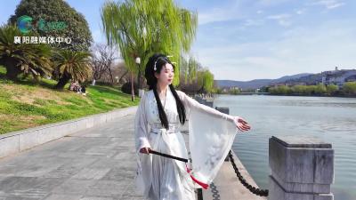 襄阳古城和春天有个约会