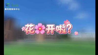 春意氤氲 学子乐游