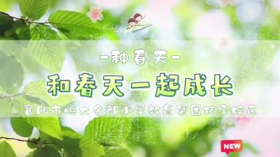 把春天“种”进教室