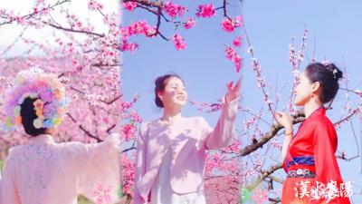 相约春天赏樱花 | 来襄阳，一起“走花路”！ 