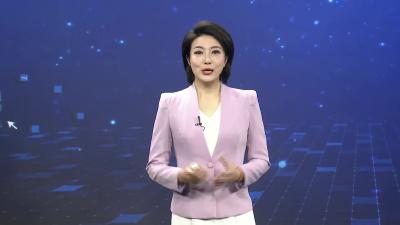 保康：抢 “鲜” 开采春茶  奏响产业丰收乐章