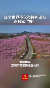 美丽襄景｜宜城金山村迎来最佳赏花期