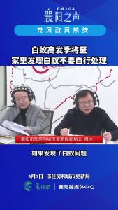 党风政风热线｜家里发现白蚁不要自行处理