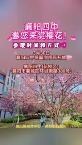 襄阳四中邀您来赏樱花！