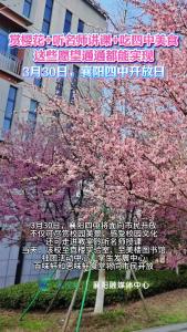 3月30日襄阳四中将面向市民开放
