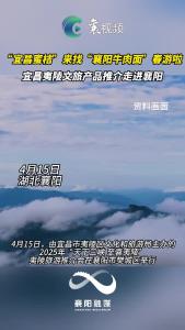 “宜昌蜜桔”来找“襄阳牛肉面”春游啦！宜昌夷陵文旅产品推介走进襄阳