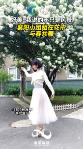 襄阳小姐姐在花中与春共舞