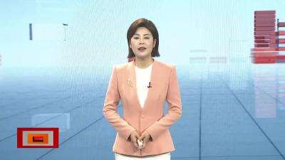  【帮女郎关注】 物流“超级大脑”     日分拣120万票