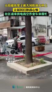 惊险！太阳能铁架子竟被大风吹落到大树上