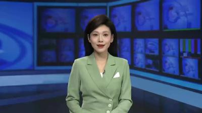 【推进政法工作现代化  护航高质量发展】枣阳：法院入驻综治中心   矛盾纠纷化解更多元