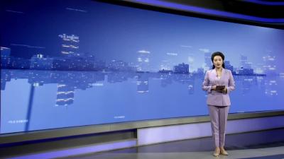 12345民声面对面：大树“疯长”    邻居遭殃