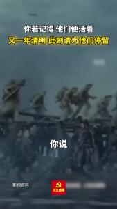 为美好而来 | 你若记得，他们便活着