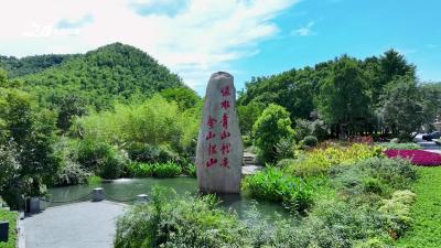 北纬30°茶产业襄阳行