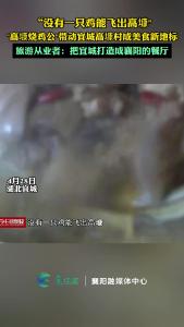 没有一只鸡能飞出高𡐓