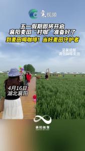 五一假期即将开启 襄阳麦田“村咖”准备好了