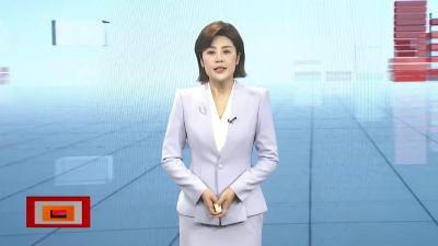 【帮女郎在行动】 “网购”二手车    后续“麻烦”多