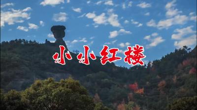 大庆路小学演绎 “红楼春趣” ，素质教育绽新花！