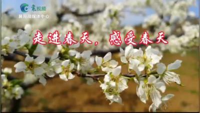 英语创新作业 体验亲近自然