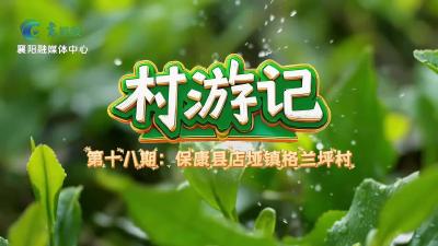 襄阳“村”游记｜千年茶脉格兰坪 悠悠茶香醉楚源