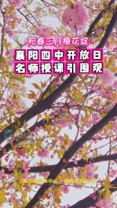襄阳四中面向市民开放