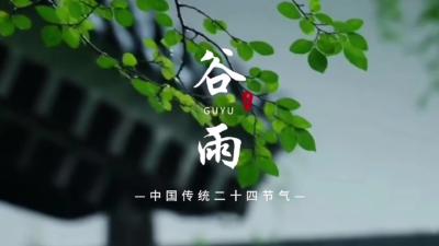 谷雨时节：春将尽，盼丰收