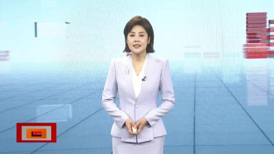 【帮女郎在行动】 “闪婚”变“闪离”     彩礼返还难