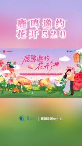 “鹿鸣邀约 花开520”— 金婚夫妻秀