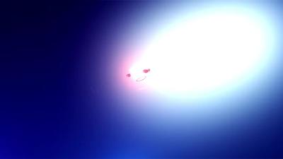 襄阳新闻2025-05-03