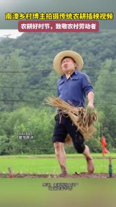 南漳乡村博主拍摄传统农耕插秧视频致敬劳动者