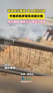 麦田失火蔓延，老人慌忙补救。外地农机手驾车冲进火场，降土旋起，阻隔大火，保住了麦田！