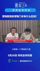 党风政风热线｜宠物医院和宠物门诊的区别