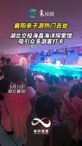 亲子游火爆！湖北交投海昌海洋探索馆吸引众多游客打卡