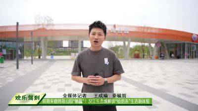 假期来鹿鸣岛公园“躺赢”！汉江生态城解锁“松弛系”生活新体验