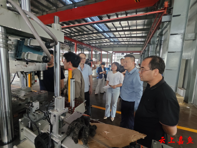 “代表智库”链动三产革新 ——看嘉鱼人大代表如何用履职密码撬动县域产业倍增