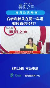 党风政风热线｜右转和掉头在同一车道如何看信号灯？