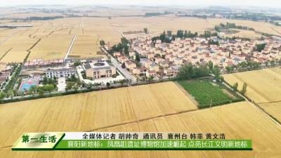 襄阳新地标：凤凰咀遗址博物馆加速崛起 点亮长江文明新地标