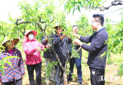 在襄阳，有这么一群“追光者”：既做产业浪潮的弄潮儿，也当文化薪火的守护人