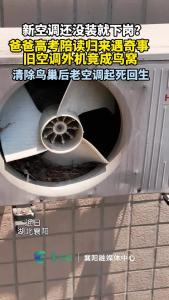 新空调还没装就下岗？爸爸高考陪读归来遇奇事