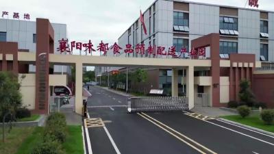 《襄阳牛肉（杂）面》《襄阳大米》团体标准发布