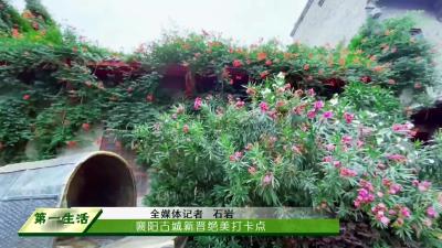  襄阳古城新晋绝美打卡点 