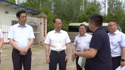 市领导到南漳调研乡村振兴“四项行动”等工作