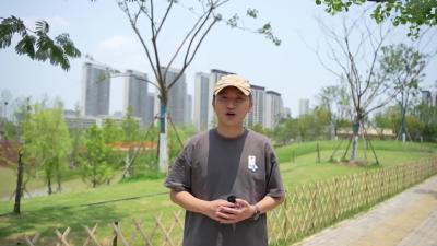  湖北交投·汉江生态城：当名校教育“长”进14万方生态公园 